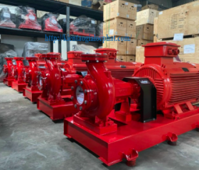 Máy bơm chữa cháy hiệu Windy
